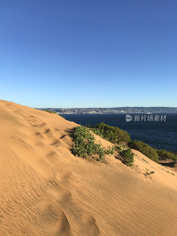 Reñaca /中午的康康沙丘景观，晴朗的蓝天，康康，Viña德尔马，瓦尔帕莱索，智利